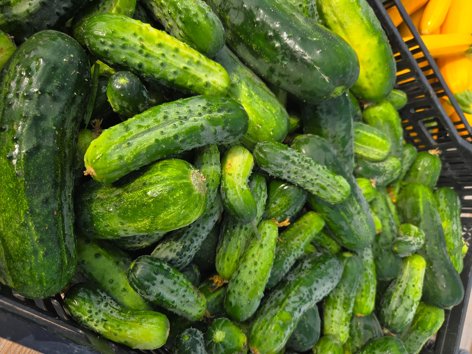 Please contact us to order and for pricing.